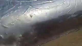 big fish 2