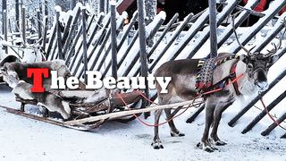 The Beauty of Nature 2