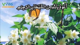 Surah Rahman 6