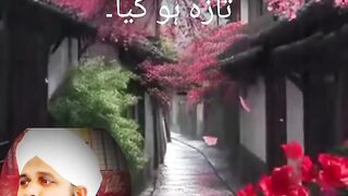 vedio 4