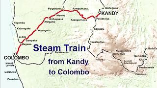 Steem train srianka