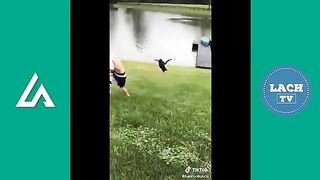 PROBEER NIET TE LACHEN #24 - Grappige Filmpjes TikTok Meme ????????- Lachen om home videos Lach TV 3