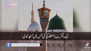 Information About inside of Roza Rasool Madina Pak