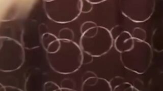 So funny cats cute cats videos 2023