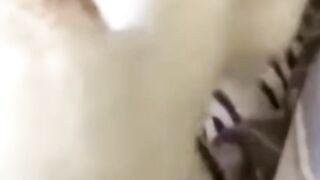 Funny cats video ???????????? 2023