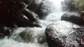 Nature 37