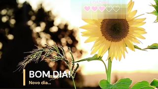 Motivacional 2
