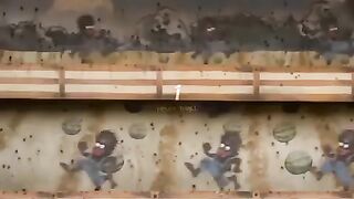 Beautiful girl video 6