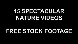 15 Spectacular Nature