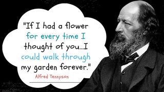 Ring out the old, ring in the new" - Alfred Tennyson | Best Quotes for New Beginnings