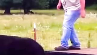 Funniest oops moments| Best fails of the week
