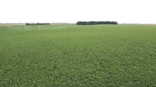 How are 135 tons of soybeans produced by Apni Khati