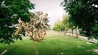 Nature of beauti