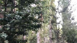 fergana shohimardon