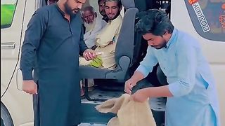 Funny video. 5