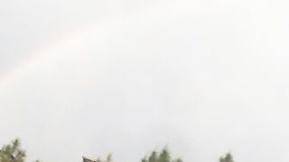 Rainy day 8