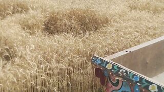 Wheat season 2