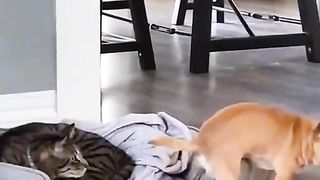 Best Friends ????????