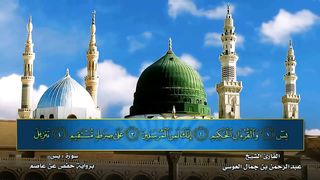 Surah Rehman | Surah Yasin | Tilawat by Jamal Abdul Rehman Al Ossi