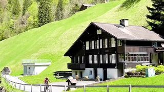 Beautiful Nature video #short #viral