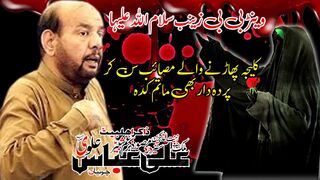 Zakir Ali Abbas Alvi- Musaib Bibi Zainab s a- 2023- Kazmi Majalis blk