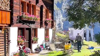 Beautiful Nature video 003
