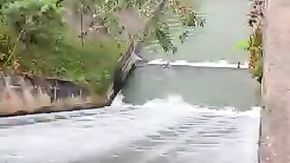 Lugar topo
