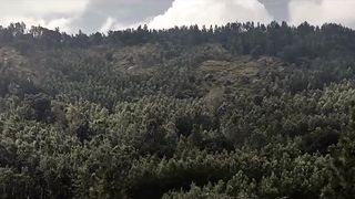 Exploring the Hidden Beauty of Kolli Hills in Tamil Nadu | A Travel Guide to India's Best Kept Secret.