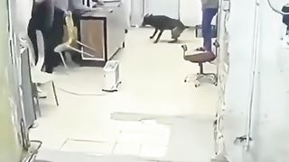Best funny video ????????????????????