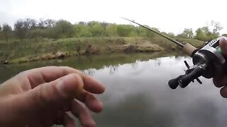 Test Calcutta Conquest BFS HG _ ANGLO BORON＋Paragon Bait Graphite