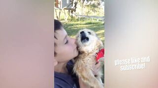 THE BEST CUTE AND FUNNY DOG VIDEOS OF 2019! ????.