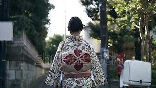 Beautiful Japan 2