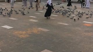 Madinah Munawwarah City Of Saudia Arabia | Kabutr Chowk Madina
