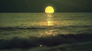 nature relaxation video 2