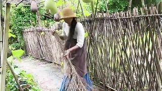 Enjoy beautiful nature with rural life 100