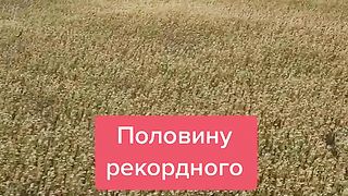 РУСИЯ  ПОНАСЯ ЗАГУБИ ОТ НЕКСПОРТИРАНО ЗЪРНО