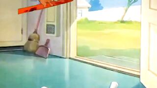 Wbkids cartoons