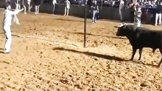 BULL GAME IN SPAIN.