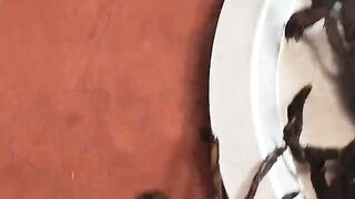 কাঁকড়ার রকমারি  #sortvideo #trending  #youtube #viral