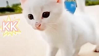A sweet Friendship of Little cat and bird