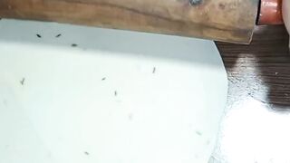 Samosa dilling techniques