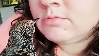 funnyanimals 2