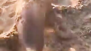 Saving a seal