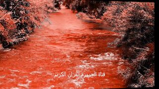 تلاوة خاشعة جدا من اروع ماسمعت