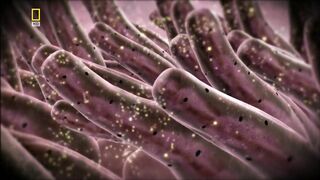 Человеческая кожа. Советую посмотреть, но не впечатлительным и особо брезгливым.