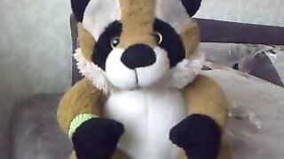 TOYS. A TALKING RACCOON.