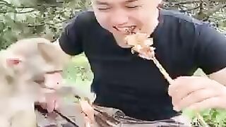 Funny monkey 5