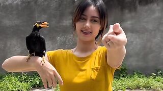 bird biutyful