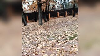 Осень в парке