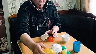 КОГАТО ИЗСКОЧИ ИСТИНСКО ПИЛЕ ОТ ЯЙЦЕТО